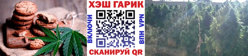 Canna-Cookies конопля  Купить где  Городец 