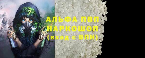 тгк Корсаков