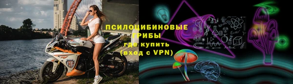 тгк Корсаков
