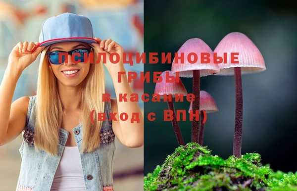 тгк Корсаков