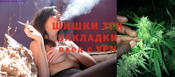 тгк Корсаков