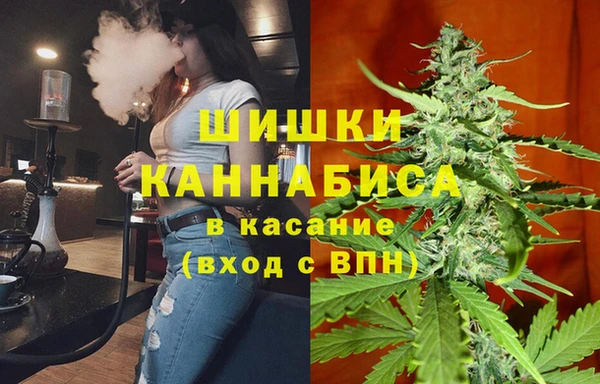 тгк Корсаков