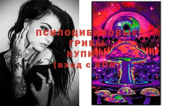 тгк Корсаков