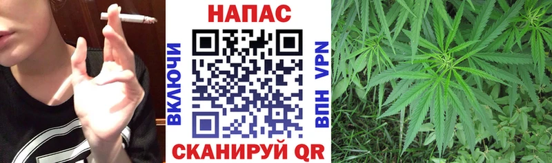 Бошки марихуана LSD WEED  Купить где  Городец 